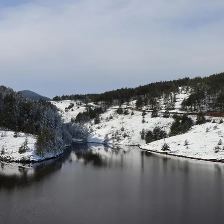 Zlatan * 즐라티보